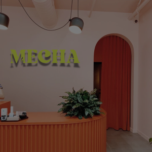 mecha salon peluqueria